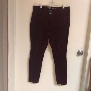 Burgundy Velour Pants
